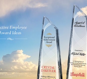 Effective Employee Award Ideas – Award Categories, Criteria and Names