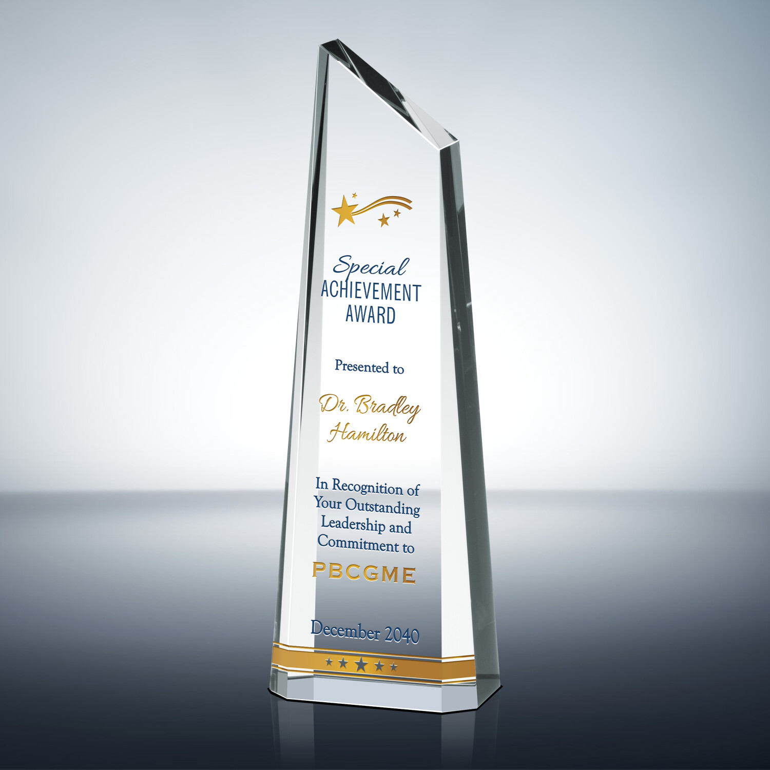 Special Achievement Award (0213) Wording Ideas DIY Awards