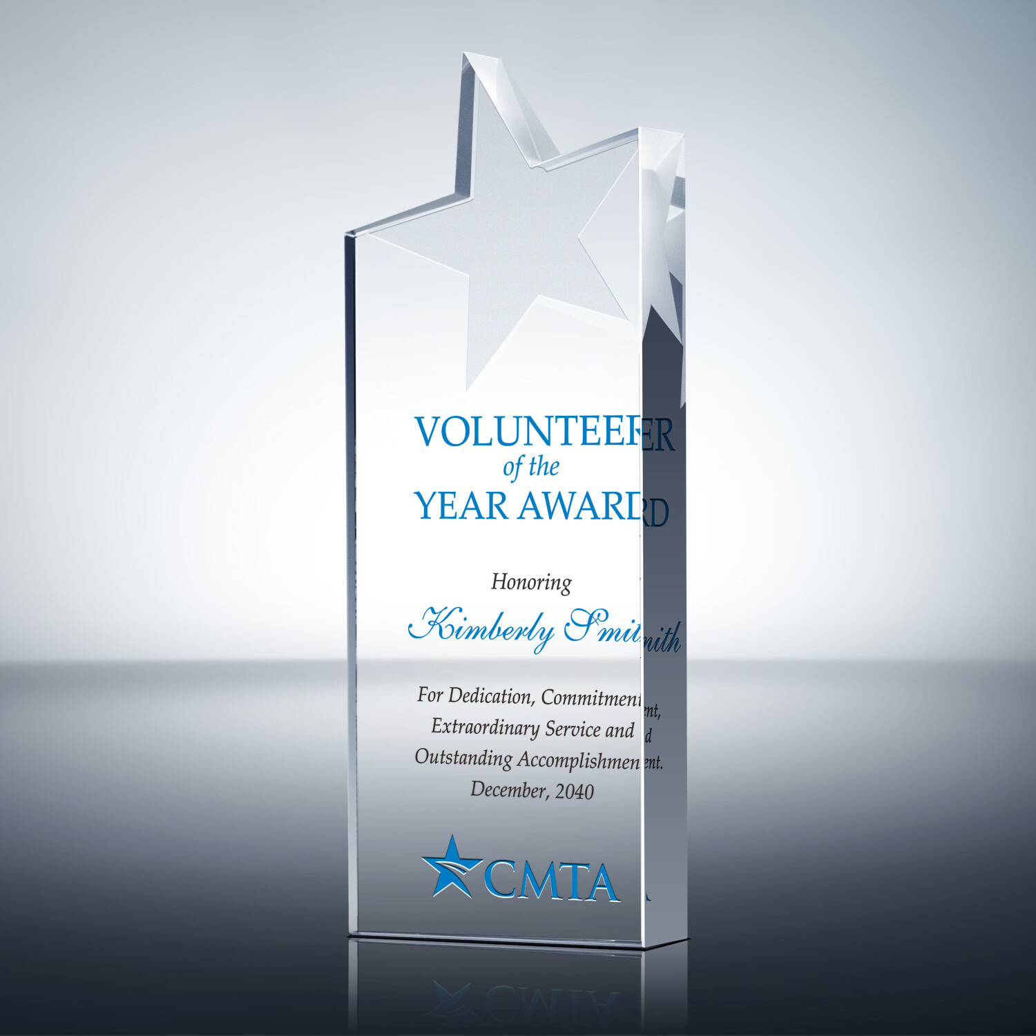 Volunteer of the Year Award (0672) Wording Ideas DIY Awards