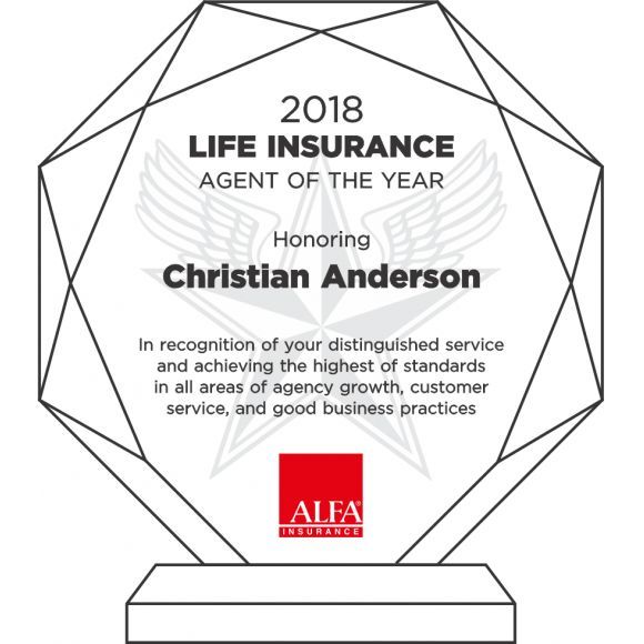 Insurance Agent of the Year Award Plaque DIY Awards
